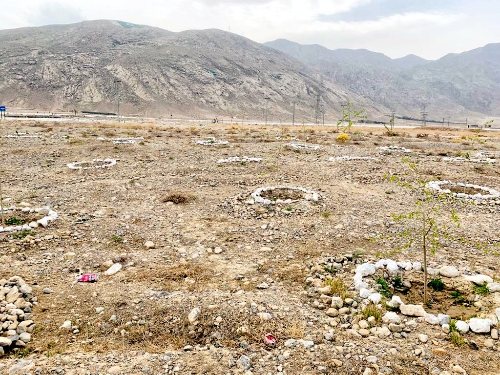 Screengrab: X via @ClimateChangePK